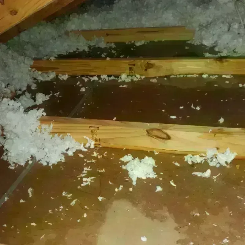 Attic Water Damage in Putney, GA