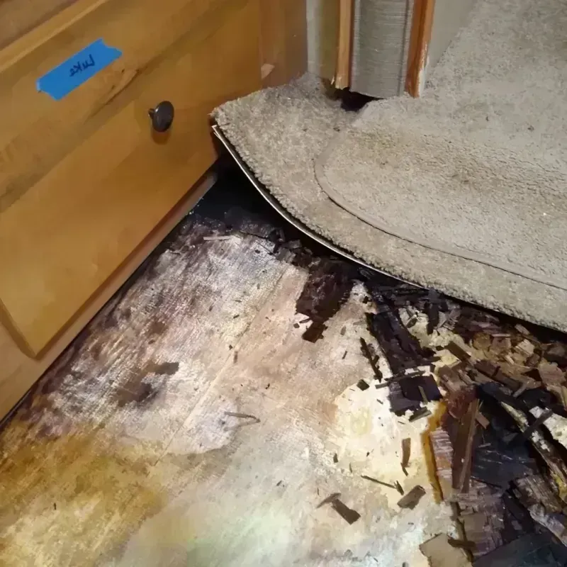 Wood Floor Water Damage in Putney, GA